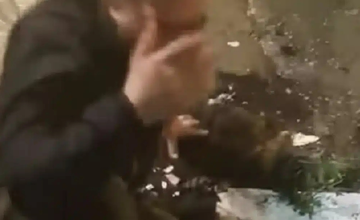 Θεσσαλονίκη: Η στιγμή που διαρρήκτες σφαδάζουν – Πήδηξαν από μπαλκόνι και έσπασαν τα πόδια τους