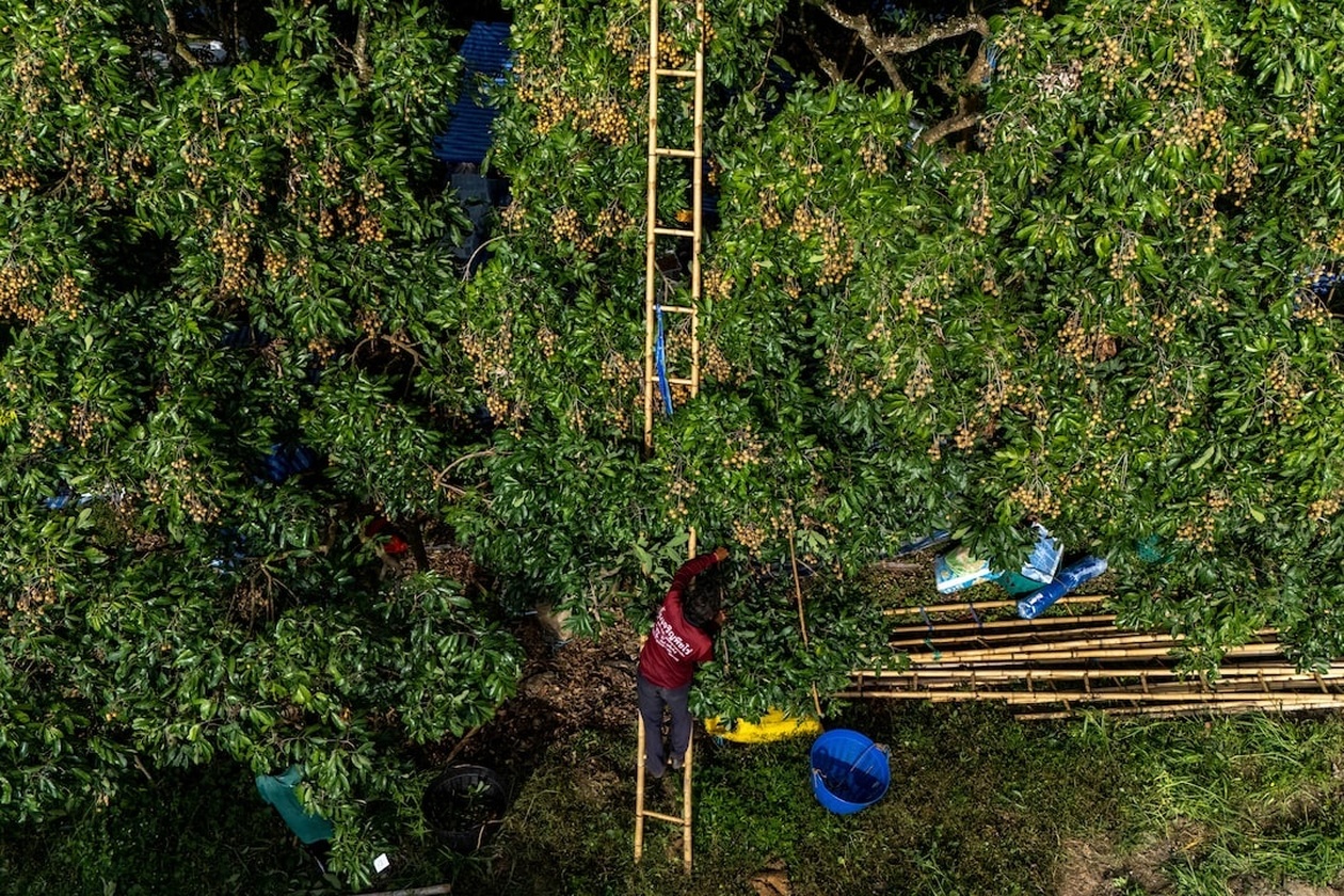 Χιλιάδες πρόσφυγες από τη Μιανμάρ αποκτούν νόμιμα εργασιακά δικαιώματα στην Ταϊλάνδη