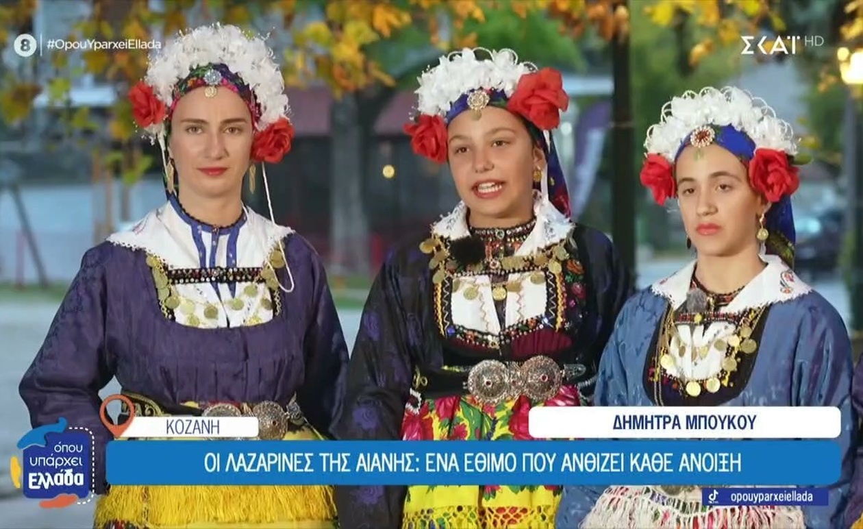 Οι Λαζαρίνες της Αιανής ανθίζουν κάθε άνοιξη