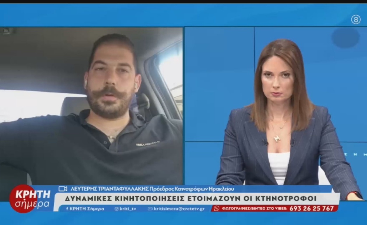 Η Κρητική Κτηνοτροφία σε Κρίσιμο Σταυροδρόμι: Εξάντληση Υπομονής και Προετοιμασία Κινητοποιήσεων