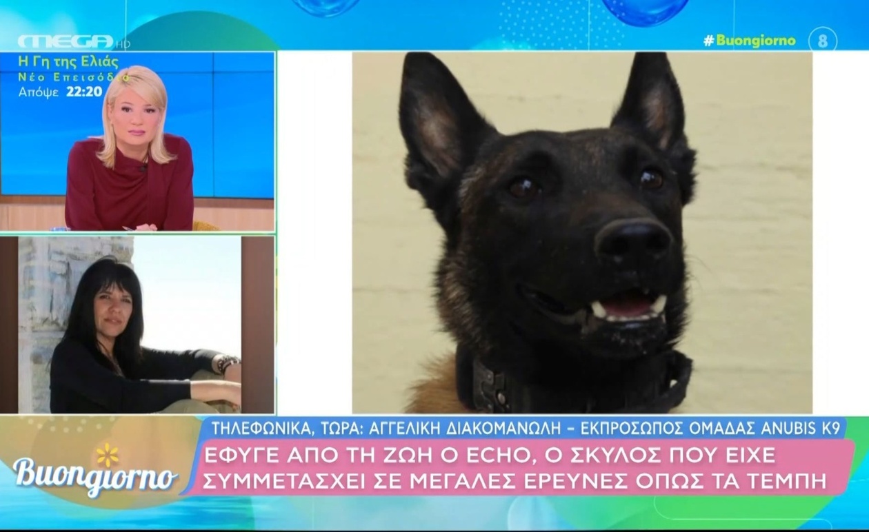 Έφυγε από τη ζωή ο σκύλος Echo — είχε συμμετάσχει στις έρευνες διάσωσης στα Τέμπη