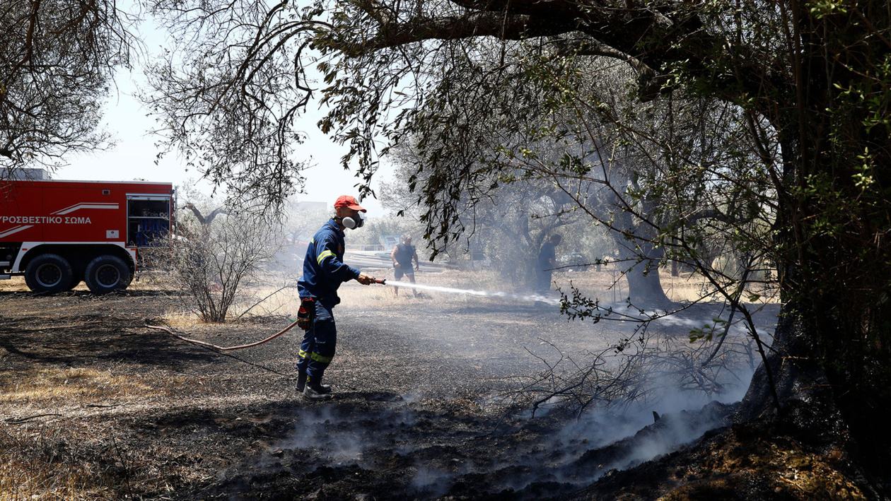 Οι πυρκαγιές του 2025 — Η κρίσιμη στιγμή της 12ης Αυγούστου