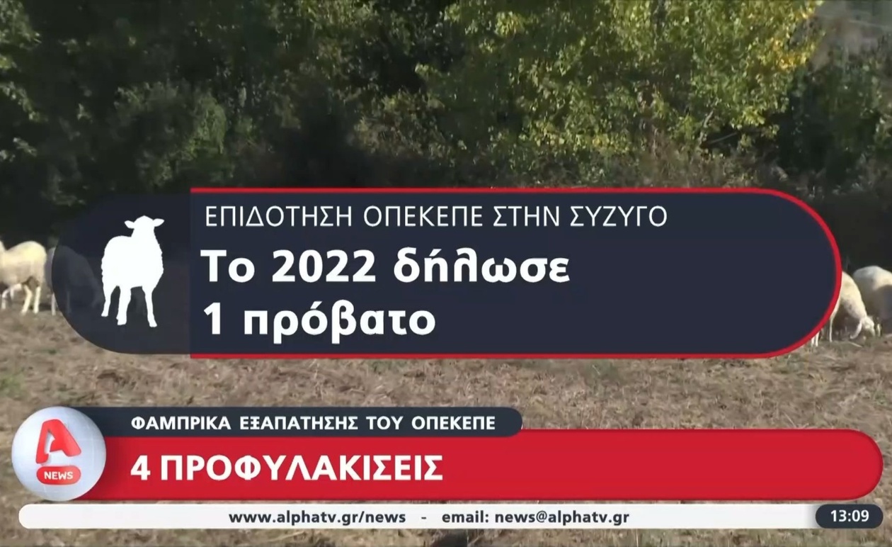 Τέσσερα άτομα προφυλακίστηκαν για δηλώσεις επιδοτήσεων κτηνοτροφίας