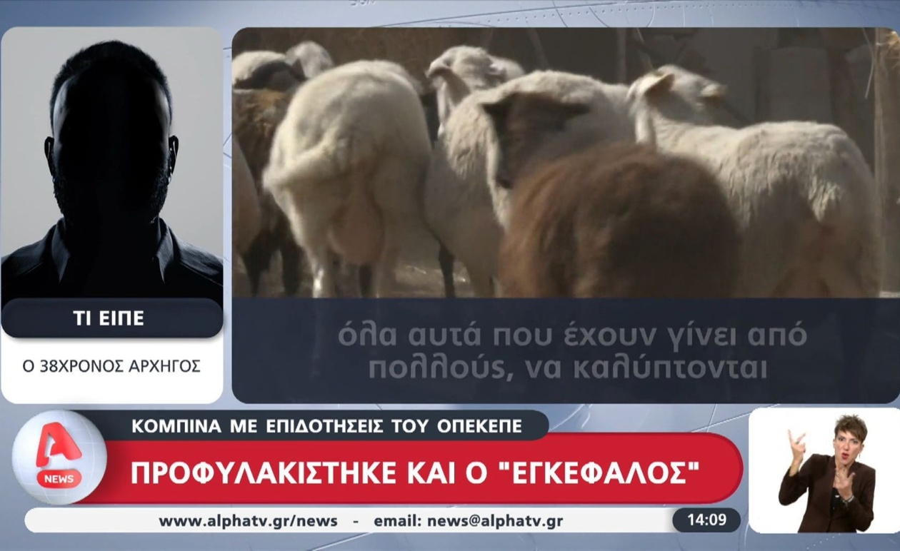 Ο φερόμενος εγκέφαλος προφυλακίστηκε στην υπόθεση ΟΠΕΚΕΠΕ
