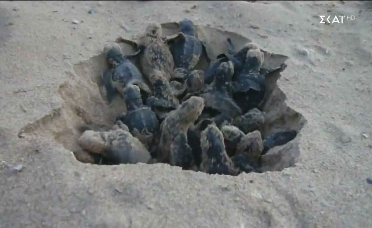 SKAI Βραδινό Δελτίο 19:45