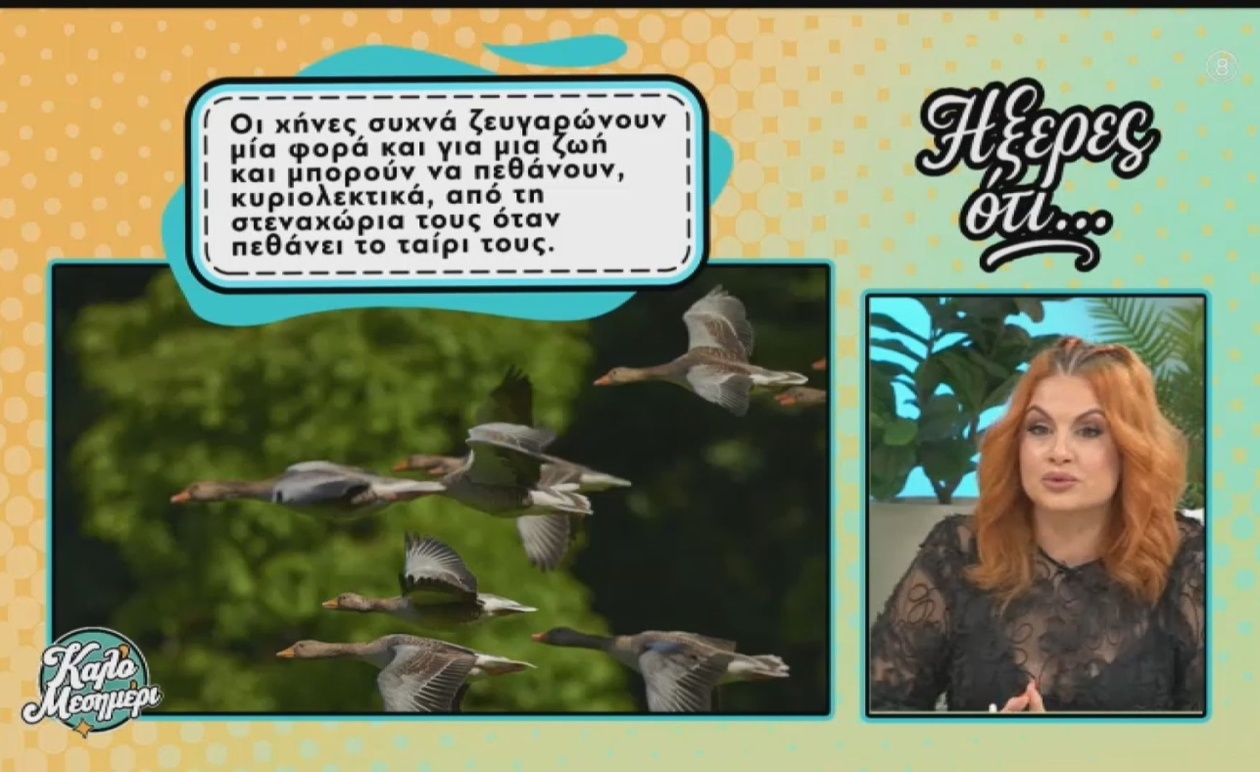 Από τη Βιολογία των Σαλιγκαριών έως τους Κινδύνους του Ωμού Χταποδιού: Ένα Ταξίδι Γνώσης