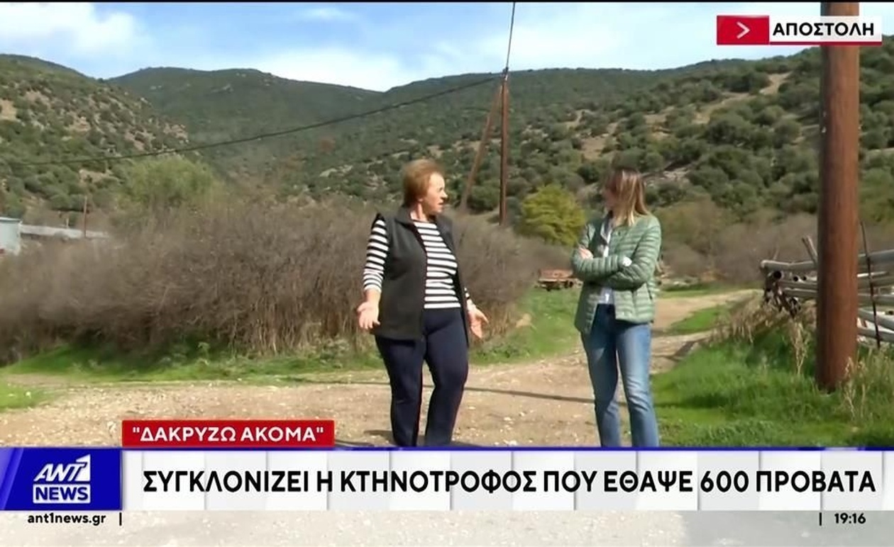 Η κτηνοτρόφος στο Κιλελέρ ευθανασίασε και έθαψε 600 πρόβατα