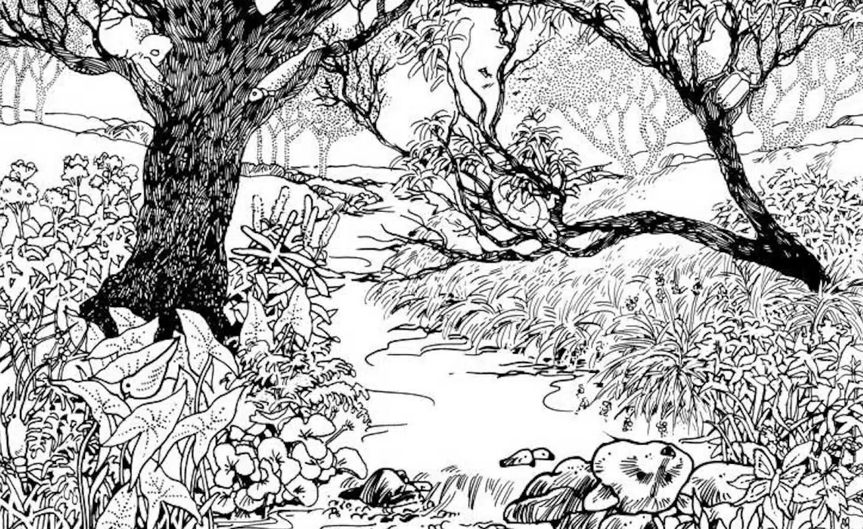 Οπτική ψευδαίσθηση:άτομα με υψηλό IQ μπορούν να βρουν το ανθρώπινο πρόσωπο