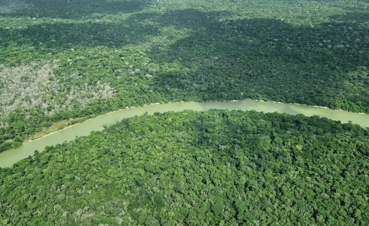 Βραζιλιάνοι Βουλευτές Επιδιώκουν την Αποδυνάμωση Περιβαλλοντικών Νόμων Μετά τη Σύνοδο για το Κλίμα