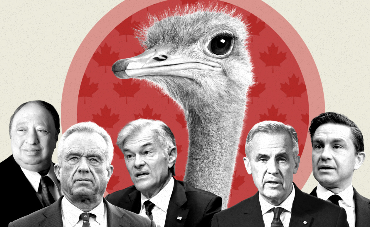 Μια αγέλη στρουθοκαμήλων στον Καναδά έγινε αντικείμενο ενδιαφέροντος του MAHA