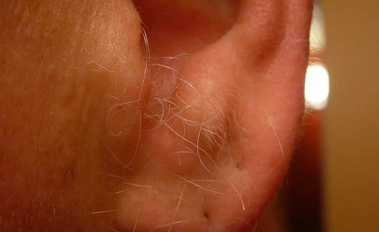 Να γιατί μεγαλώνουν τρίχες στα αυτιά σας