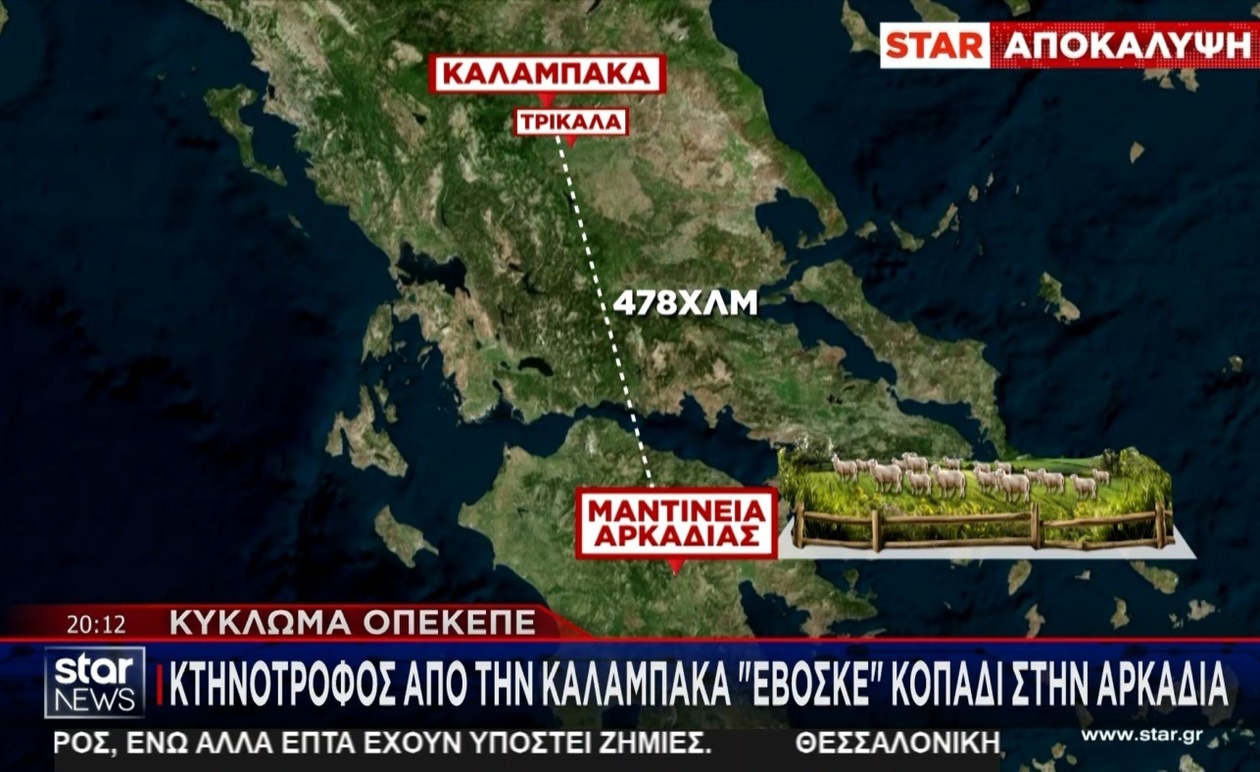 Ένας κτηνοτρόφος από την Καλαμπάκα ενεπλάκη στην υπόθεση ΟΠΕΚΕΠΕ