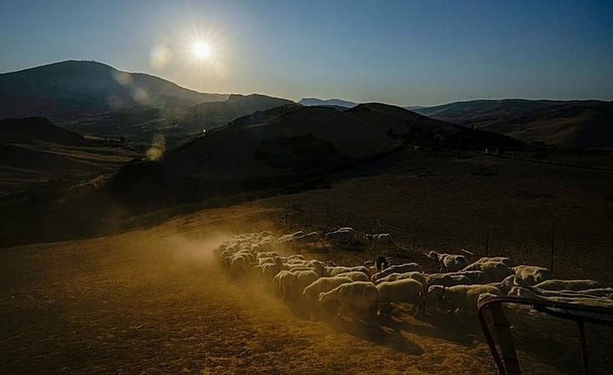 Η Ευρωπαϊκή Επιτροπή καταρτίζει σχέδιο για τους νέους αγρότες