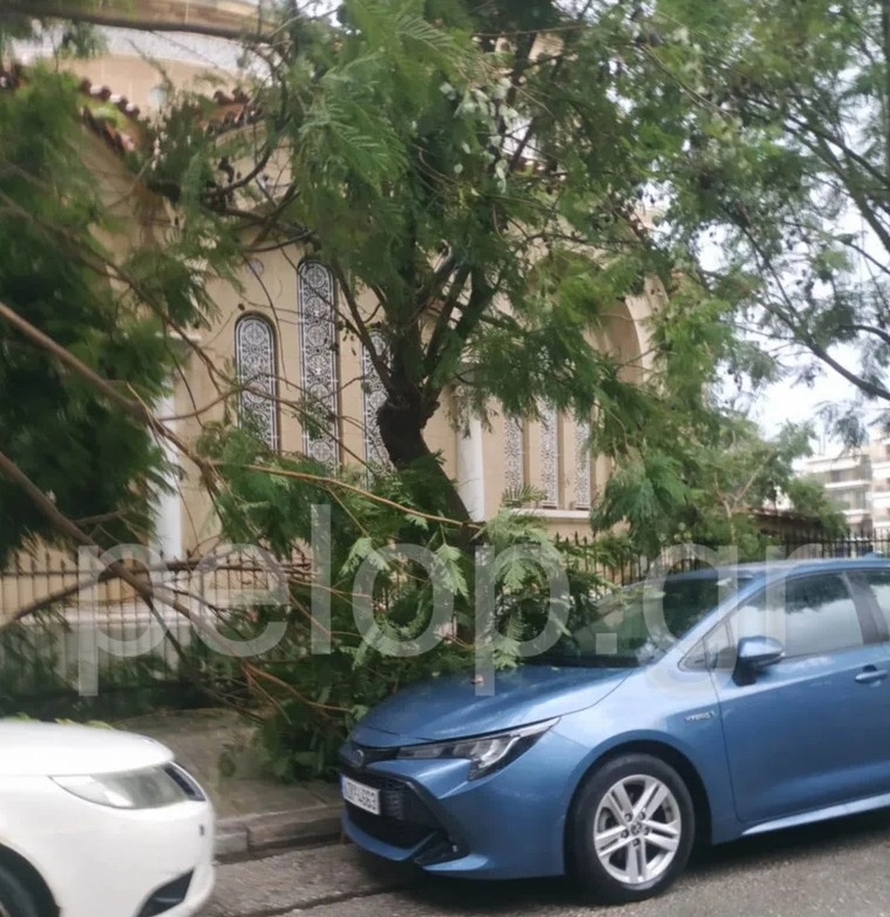 Ισχυροί άνεμοι χτύπησαν την Πάτρα, προκαλώντας πτώσεις μεγάλων δέντρων και ζημιές σε οχήματα