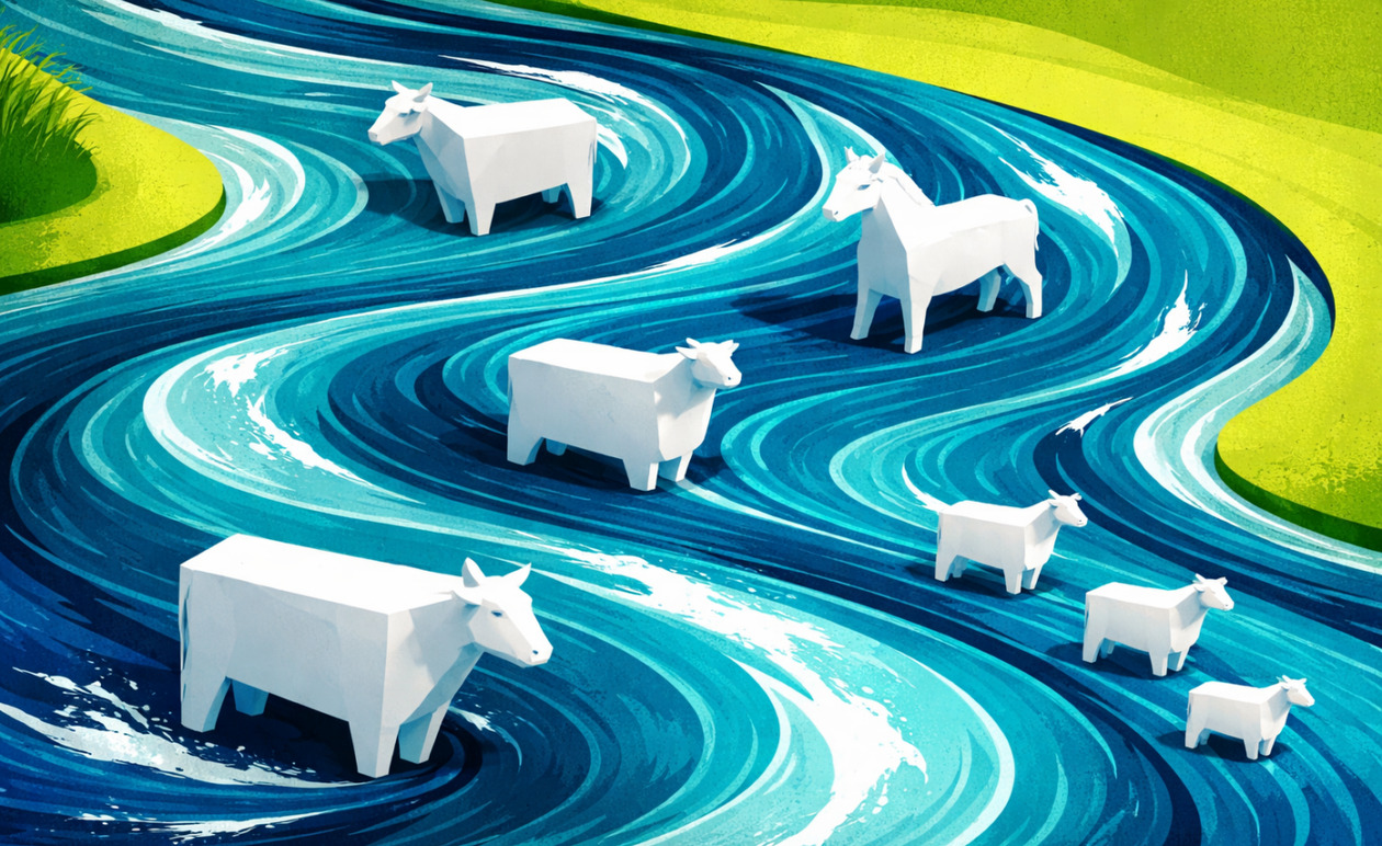 Ηλεία: Δεκάδες νεκρά πρόβατα στον Αλφειό προκαλούν συναγερμό για την ευλογιά