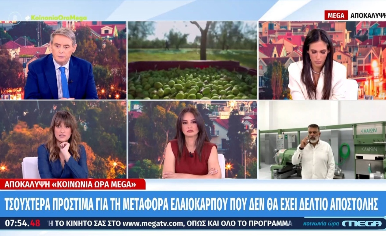 Οι νέοι αυστηροί κανόνες για τους ελαιοπαραγωγούς: Υποχρεώσεις και πρόστιμα