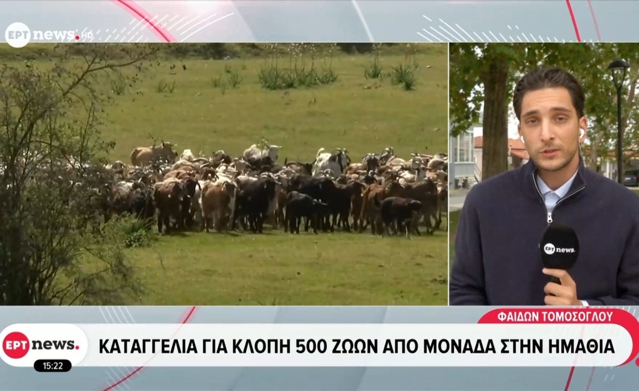 Η καταγγελία για κλοπή 500 ζώων στην Ημαθία