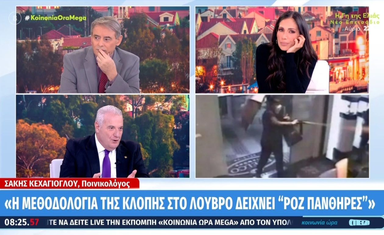 Οι «Ροζ Πάνθηρες» και η Σύνδεση με την Κλοπή στο Λούβρο: Η Ανάλυση Ειδικού