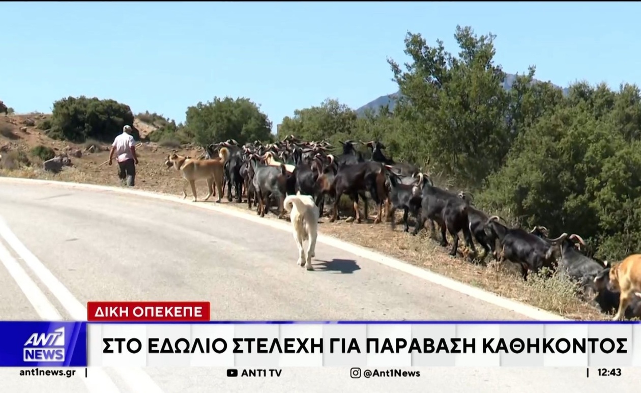Στο εδώλιο ο πρώην Πρόεδρος του ΟΠΕΚΕΠΕ για υπόθεση αγροτικών επιδοτήσεων