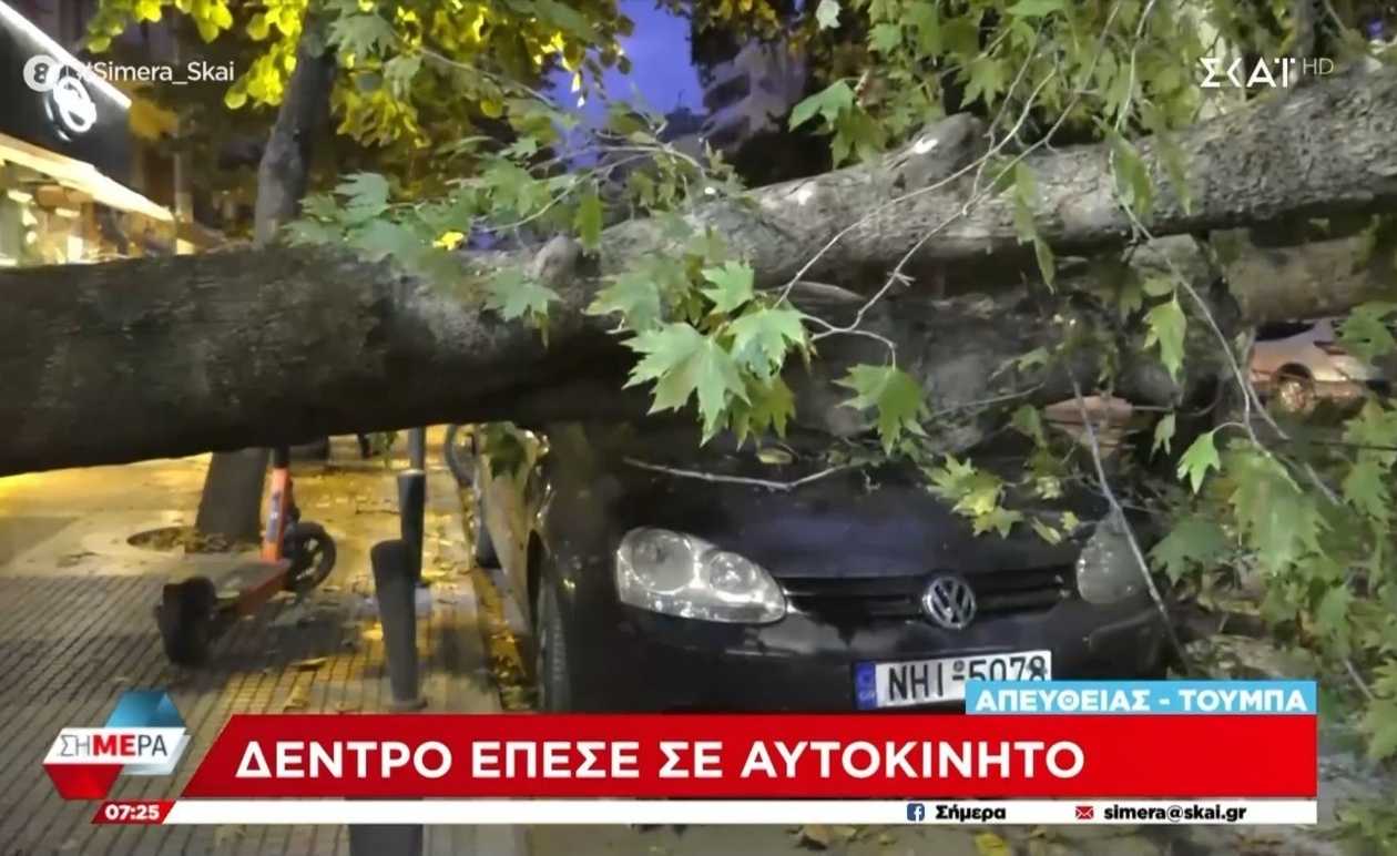 Το απρόσμενο περιστατικό στη Θεσσαλονίκη: Δέντρο με βάση εντός καταστήματος κατέρρευσε σε όχημα
