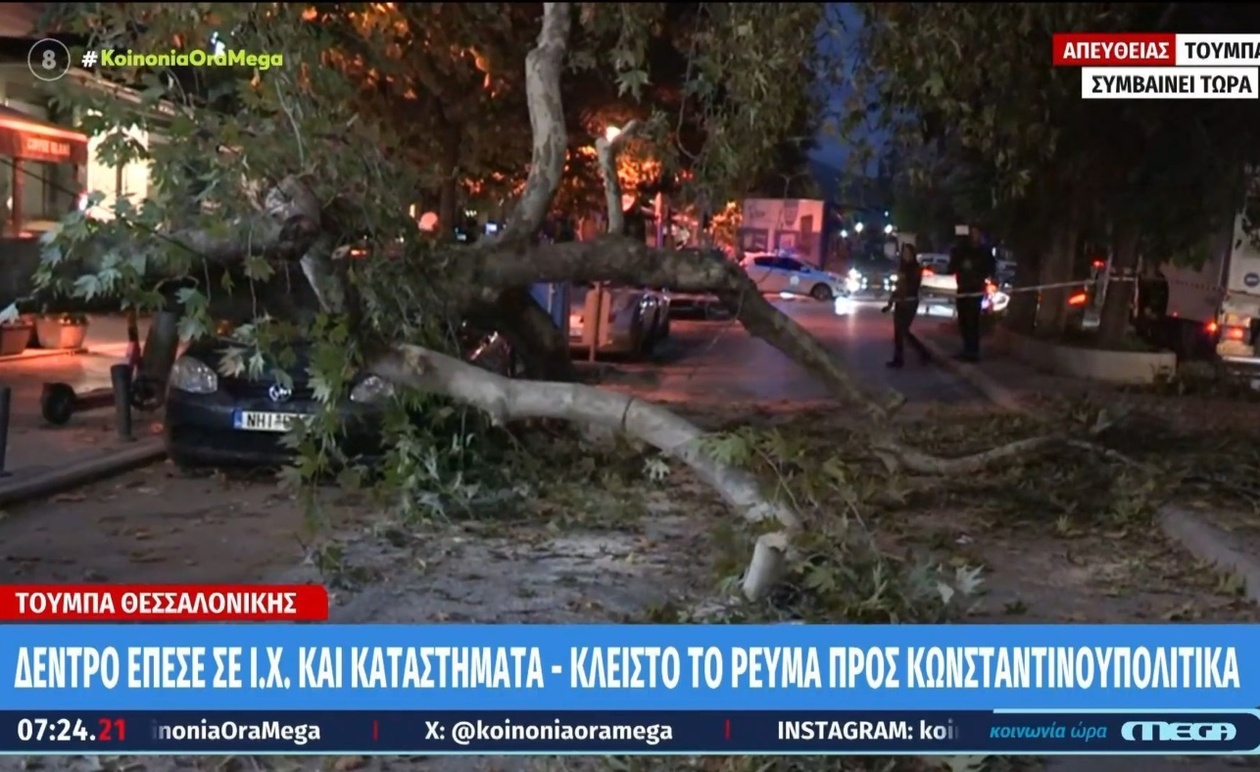 Στη Θεσσαλονίκη: Πτώση δέντρου προκαλεί αναστάτωση στην κυκλοφορία