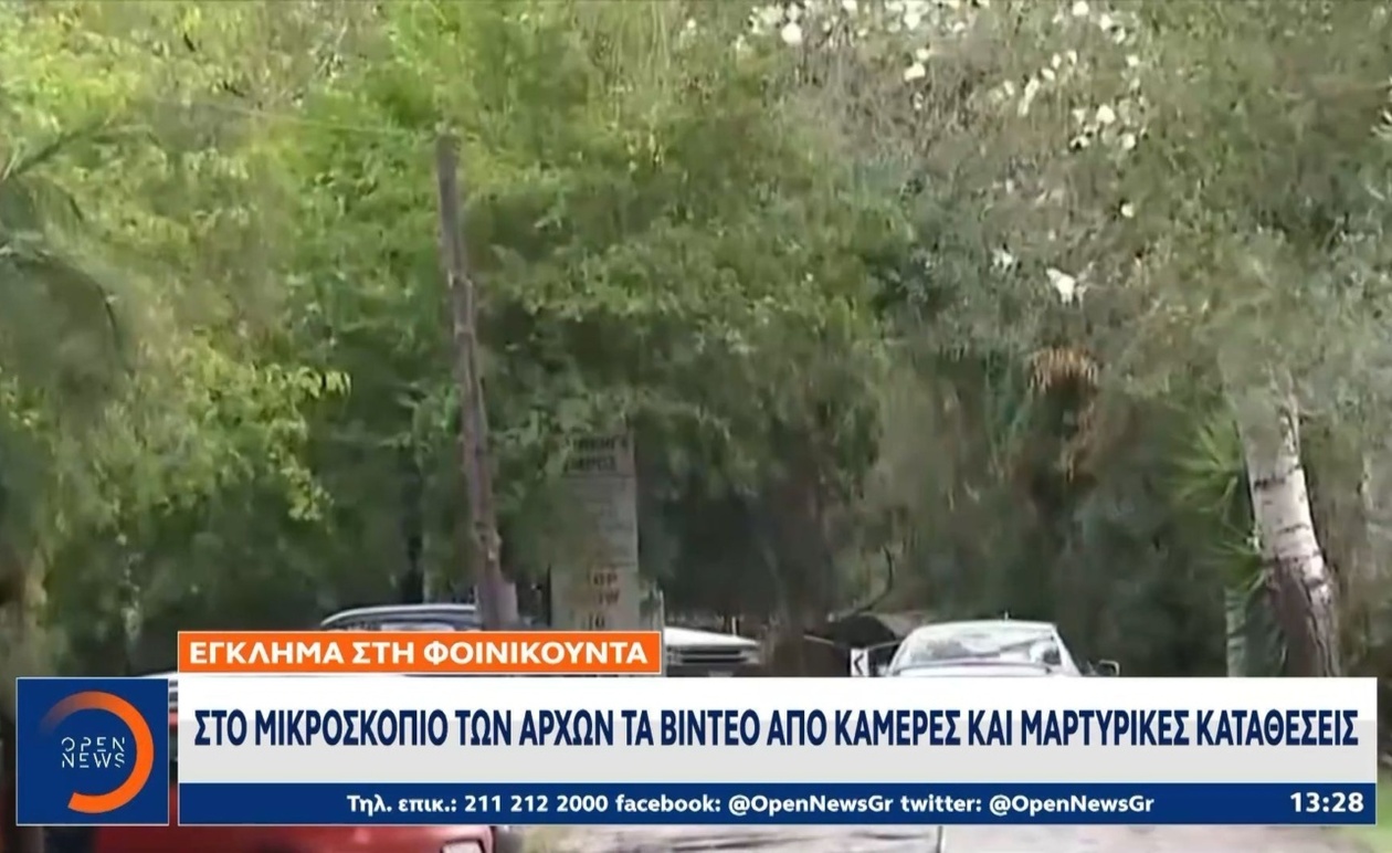 Η απολογία των δύο 22χρονων για τη διπλή δολοφονία στη Φοινικούντα