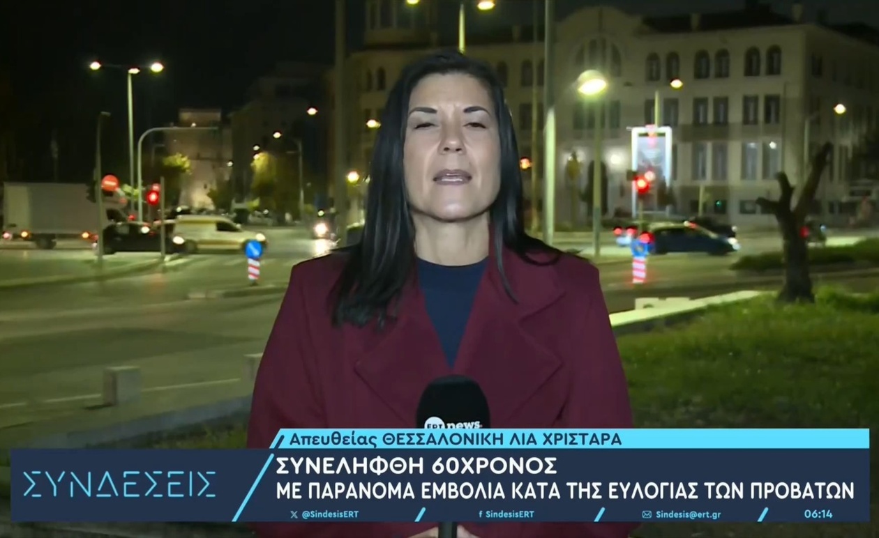 Ο 60χρονος που επιχείρησε να φέρει στη χώρα πάνω από χίλια εμβόλια ευλογιάς των προβάτων