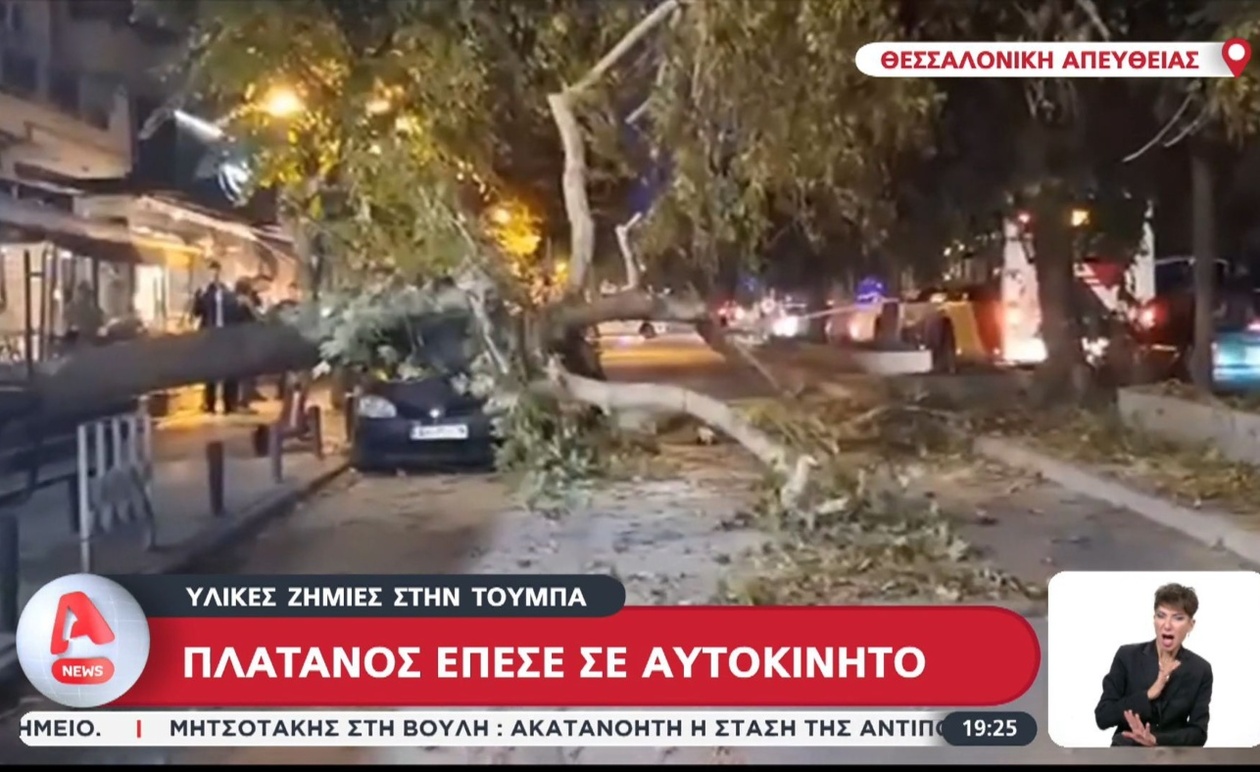 Πλάτανος Κατέρρευσε σε Αυτοκίνητο στην Τούμπα Θεσσαλονίκης – Εκτεταμένες Υλικές Ζημιές