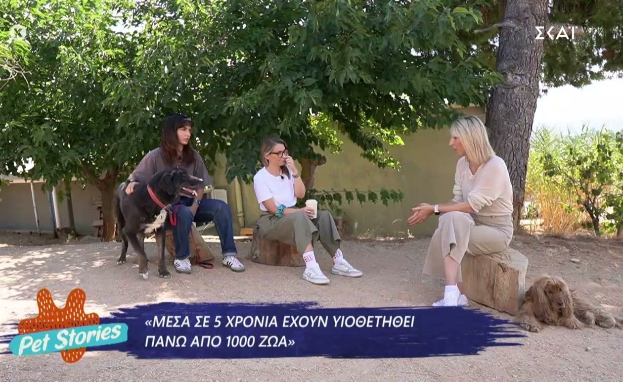 Η δύναμη της φροντίδας στα Pet Stories με επίκεντρο καταφύγια όπως το A Little Shelter