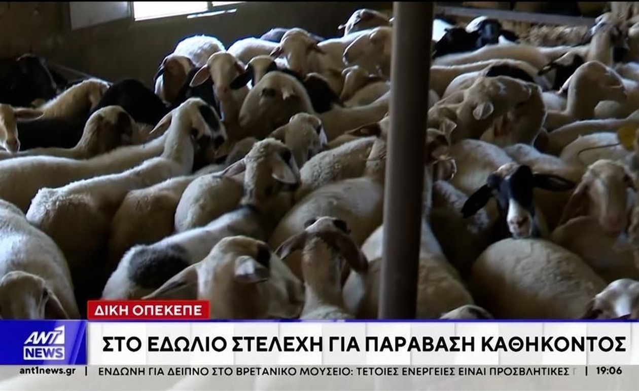 Η Δίκη του Πρώην Προέδρου του ΟΠΕΚΕΠΕ Ξεκίνησε με την Πρώτη Κατάθεση