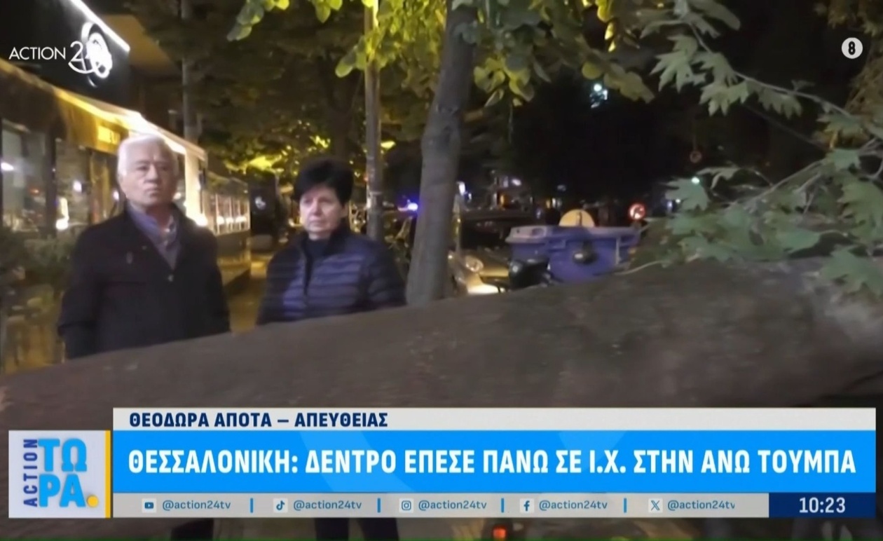Η απρόσμενη πτώση δέντρου που έπληξε όχημα στην Τούμπα Θεσσαλονίκης