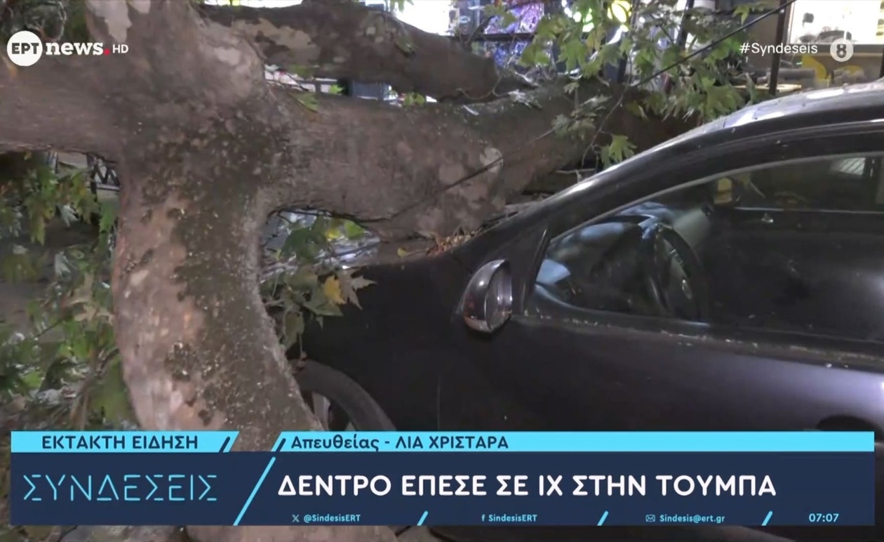 Ένα δέντρο έπεσε σε όχημα στην περιοχή της Τούμπας