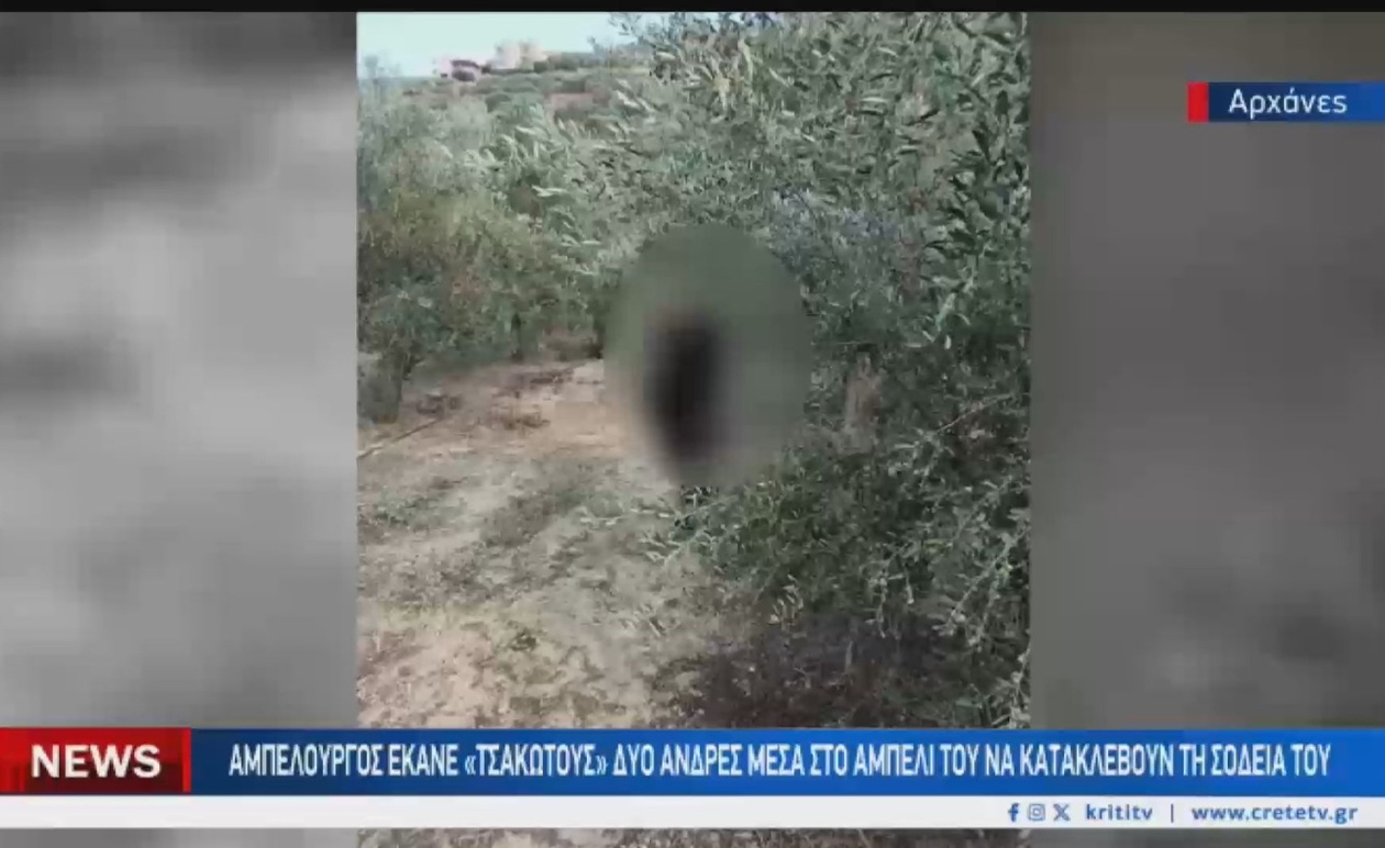 Ένας αμπελουργός σταμάτησε δύο άνδρες που έκλεβαν τη σοδειά του στις Αρχάνες